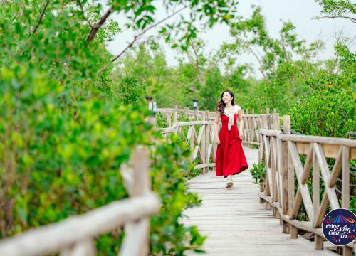 Khám Phá Rừng ngập mặn Đồ Sơn – Dragon Mangrove Forest 2025