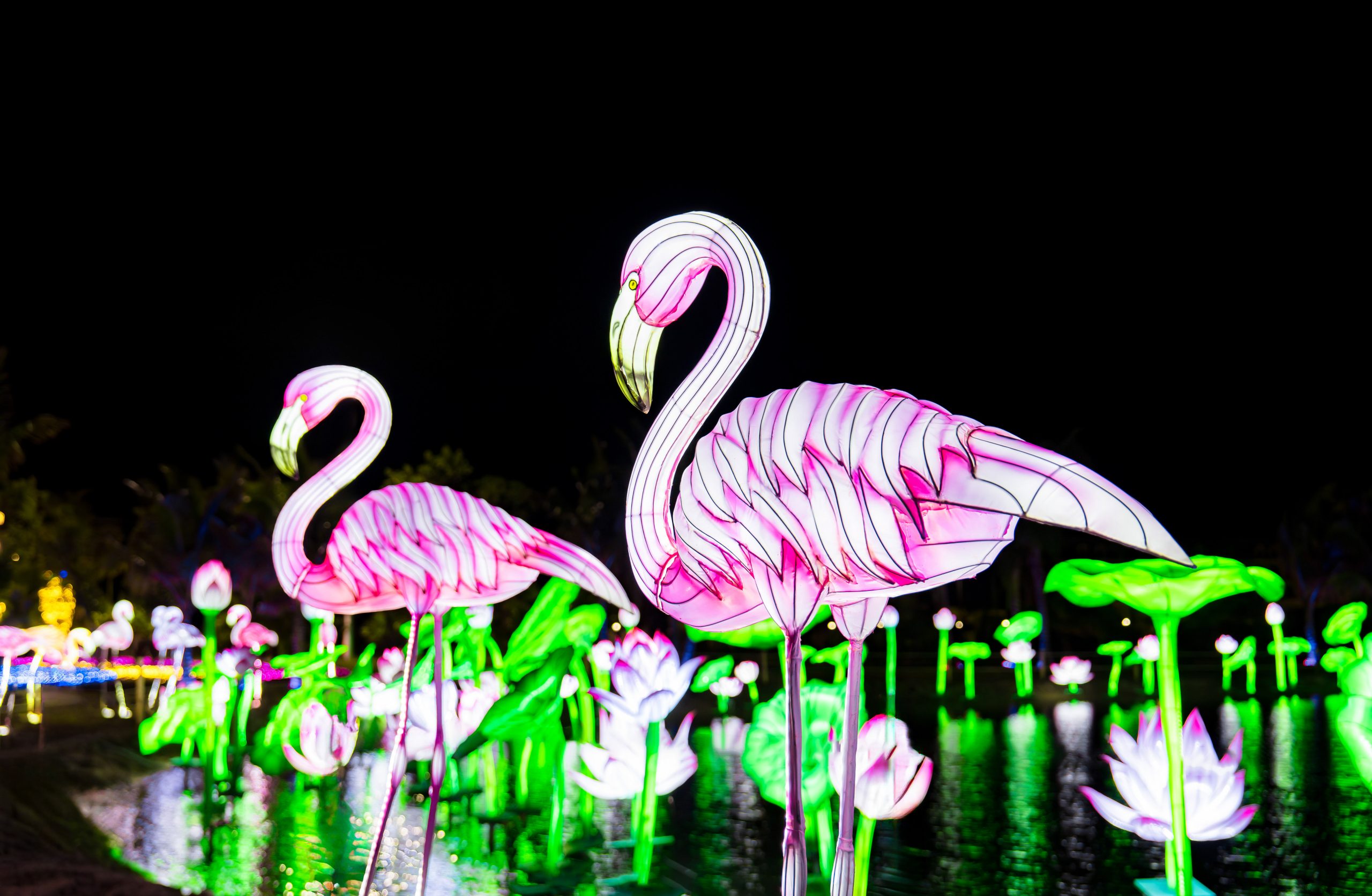 Vé Công viên ánh sáng - Dragon Ocean Lighting Park - Ảnh 5